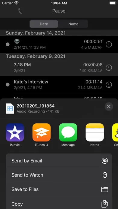 تصاویر You Record Pro